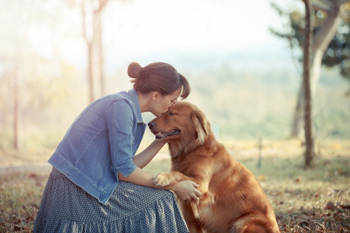 おでこにキスされる犬