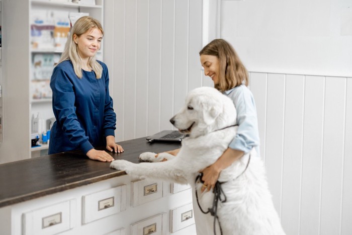 動物病院で受付をする女性と大型犬