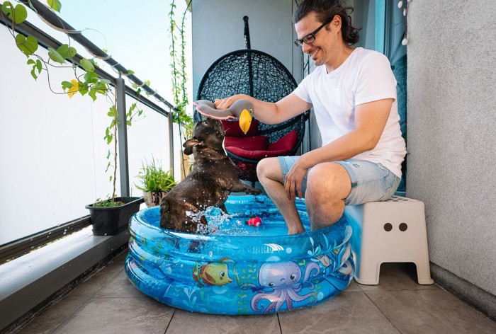 プールに入る犬と男性