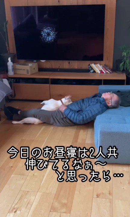 お昼寝中の犬とおじいちゃん