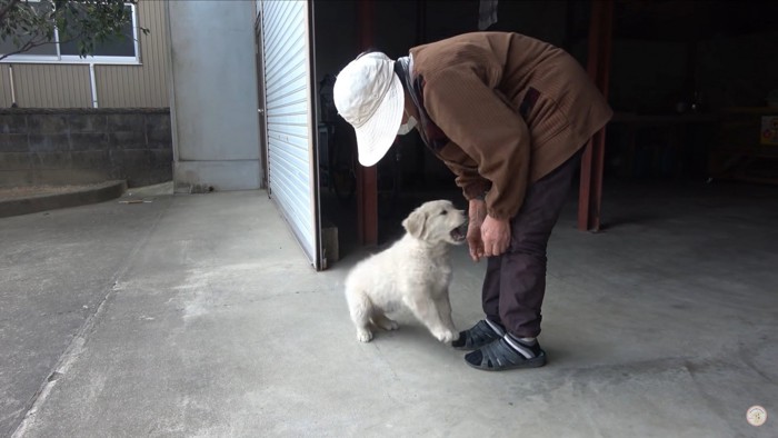 おばあちゃんをパクッとするメイちゃん