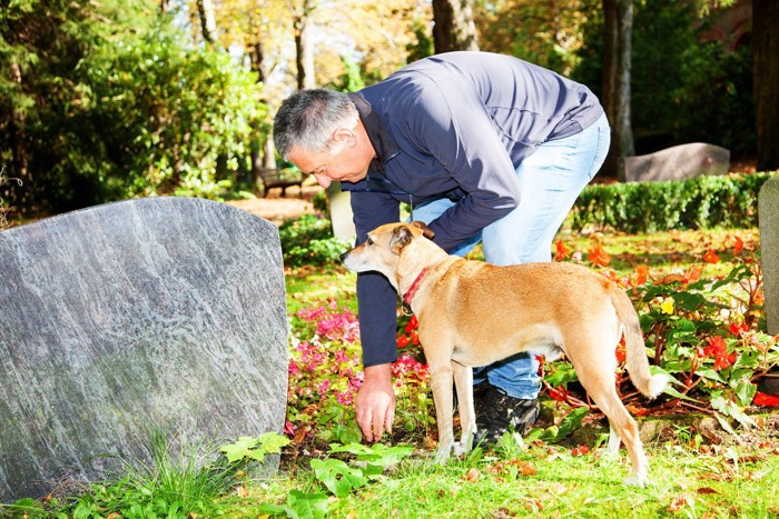 お墓の前にいる犬と男性