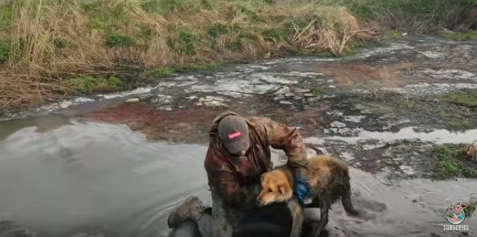 犬を岸に運ぶ