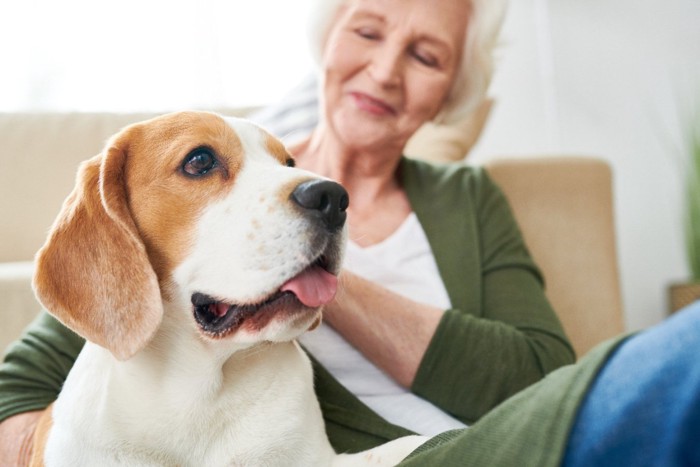 女性の隣に座る犬