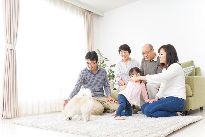 193082569 リビングにいる家族と犬