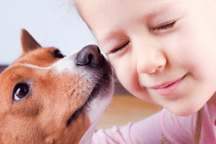 少女の顔のにおいを嗅ぐ犬