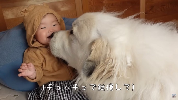 座って触れないLONOちゃんにキス