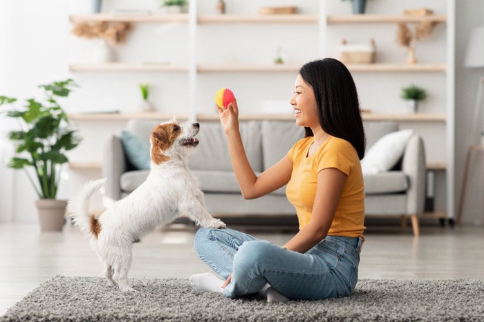 一緒に遊ぶ犬と飼い主