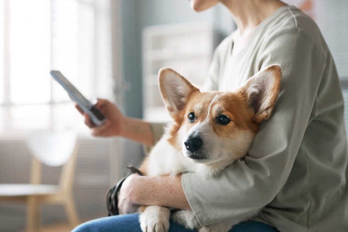 手を取り合う犬と飼い主