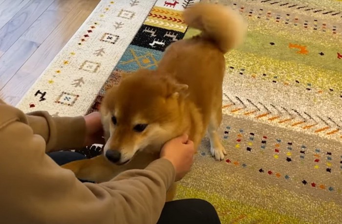 興奮している犬