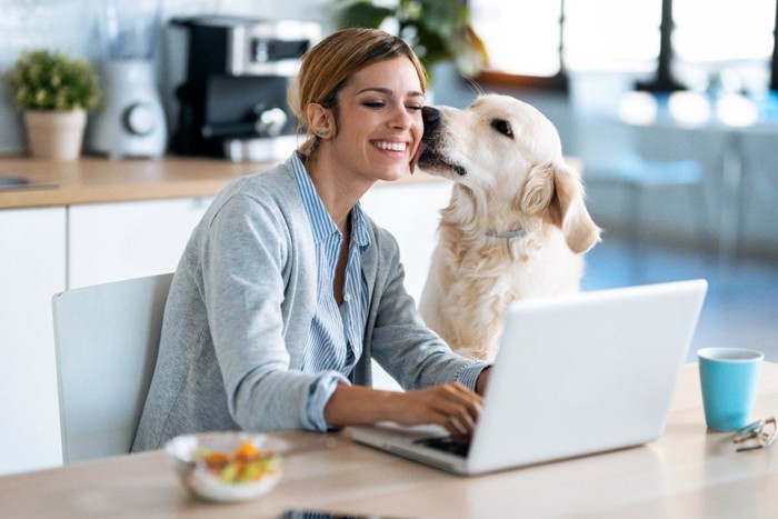 朝活する女性と犬