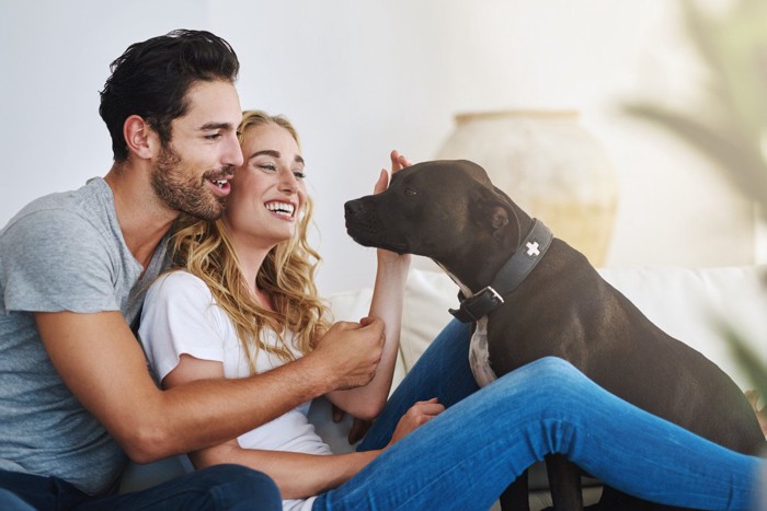 男女と向き合う黒い犬