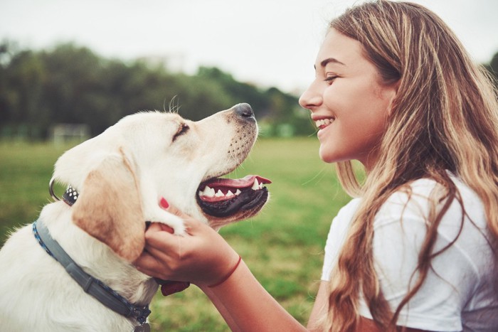 見つめ合う犬と女性