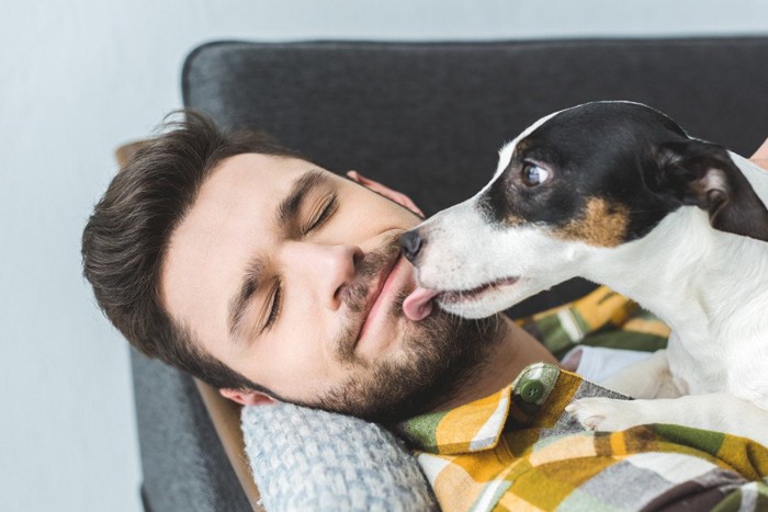 口を舐める犬