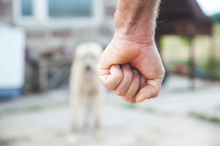 握りこぶしと犬