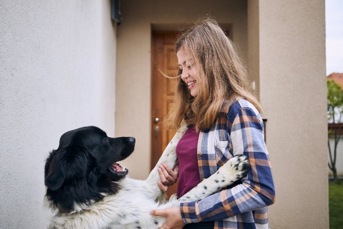 女の子の帰りを出迎える犬