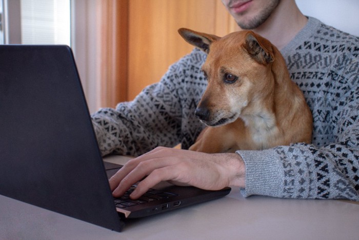 犬と一緒にPCの前に座る男性