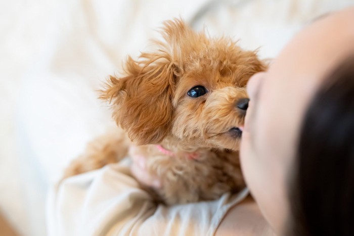 人の顔を舐めようとしている子犬