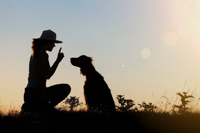 犬とトレーナーのシルエット