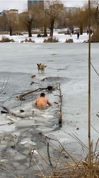 犬との距離が近づく