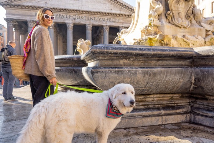 イタリアの風景と散歩する白い犬