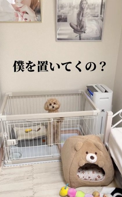 僕を置いていくの？