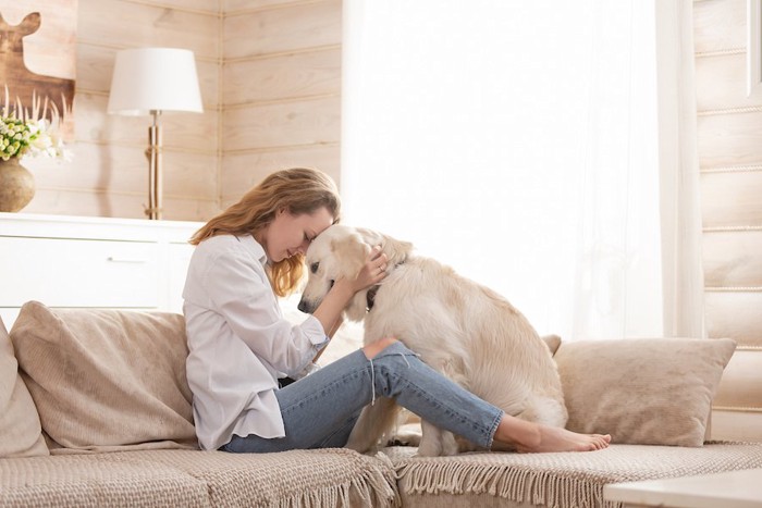 ソファーで犬と額を合わせる女性