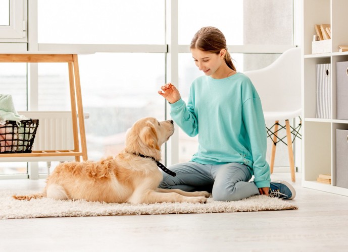 犬を訓練する女性