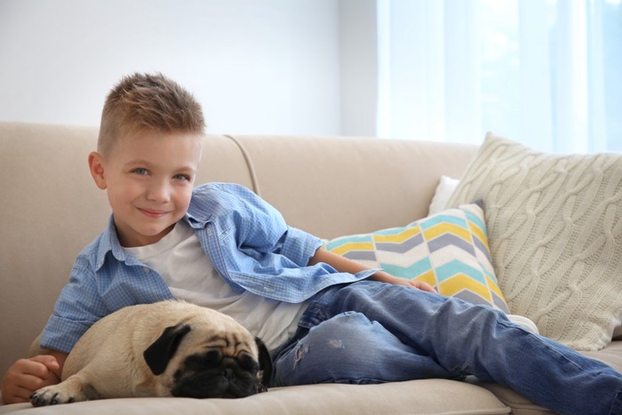 男の子と眠る犬