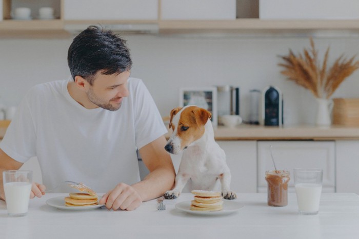 食卓の男性と犬