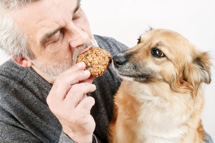オートミールクッキーを食べる男性と犬