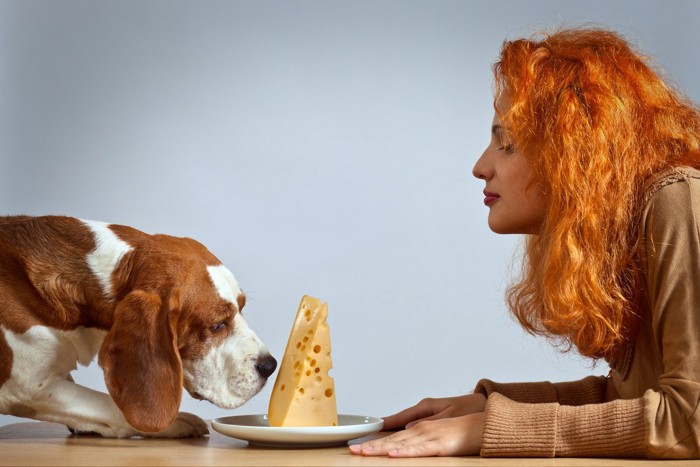 チーズを挟んで向かい合う女性と犬
