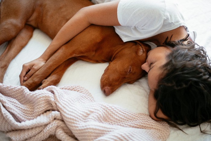 ベッドで一緒に眠る女性と犬