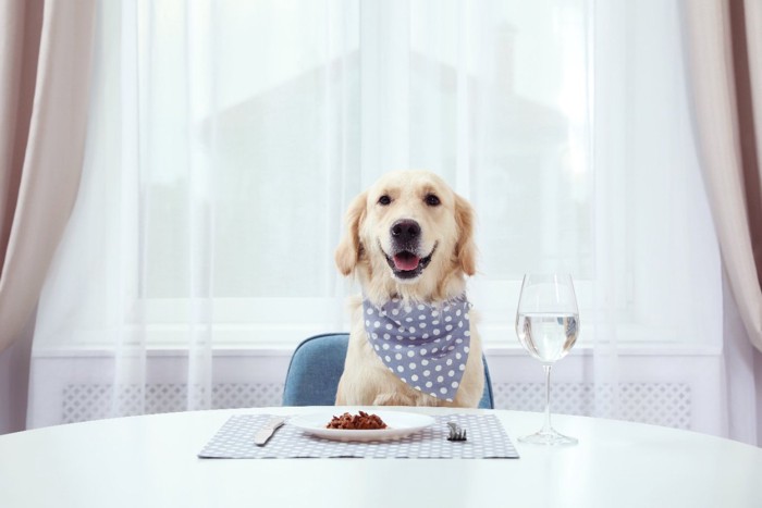 食事の席に座る犬