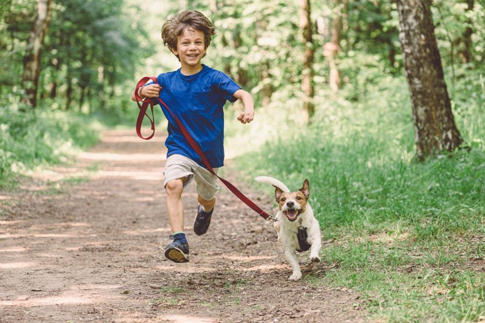 少年と散歩中の犬