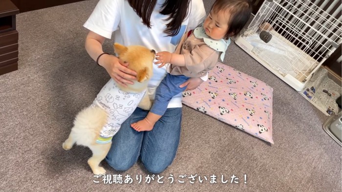 赤ちゃんと触れ合う犬
