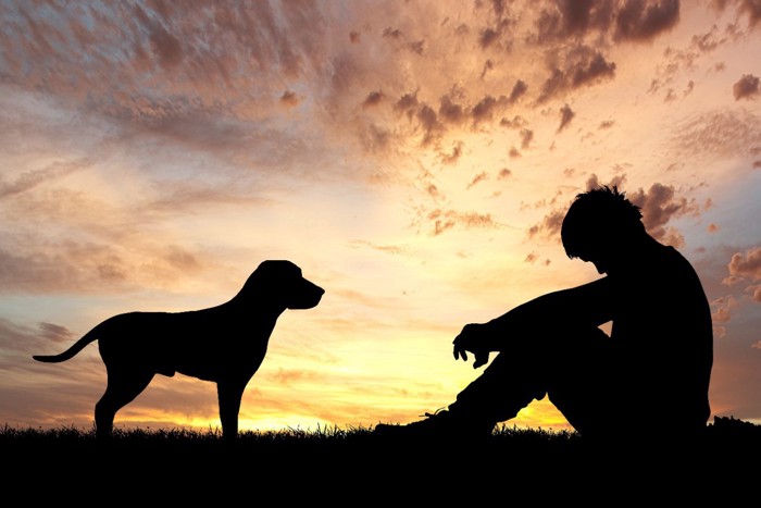 落ち込んでいる男性と犬のシルエット