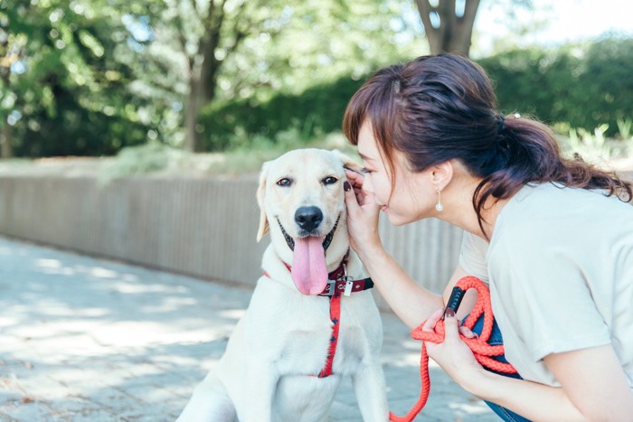 飼い主の女性に褒められるラブ