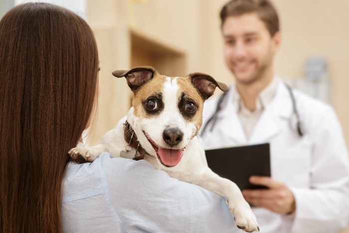 動物病院で飼い主に抱かれている犬