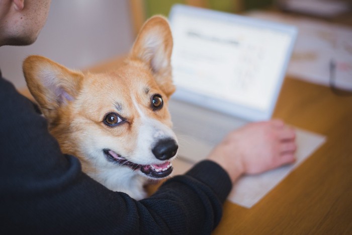 飼い主さんと愛犬