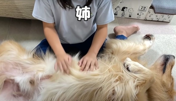 犬のお腹を触る姉