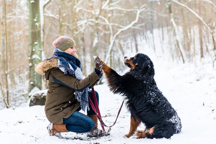 女性と犬