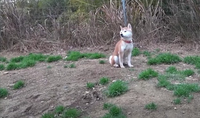 横顔