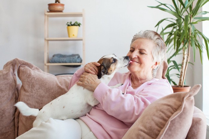 女性の口元を舐める犬