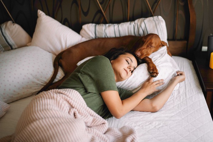 ベッドで眠る女性と犬