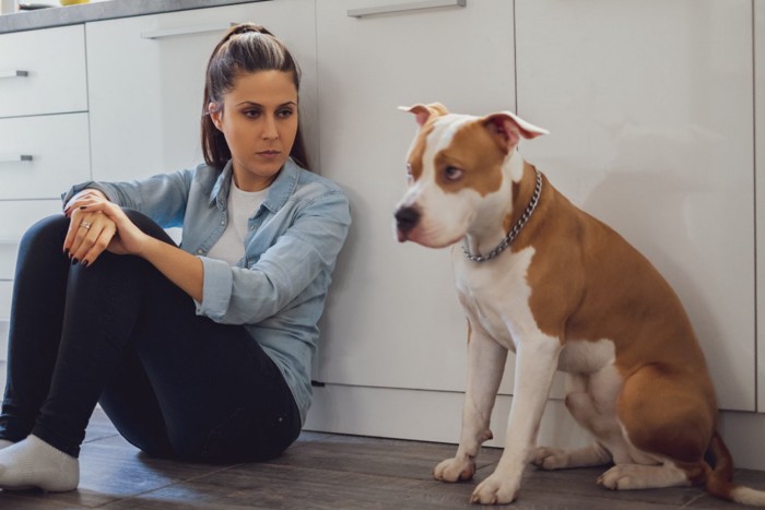 女性に叱られる犬