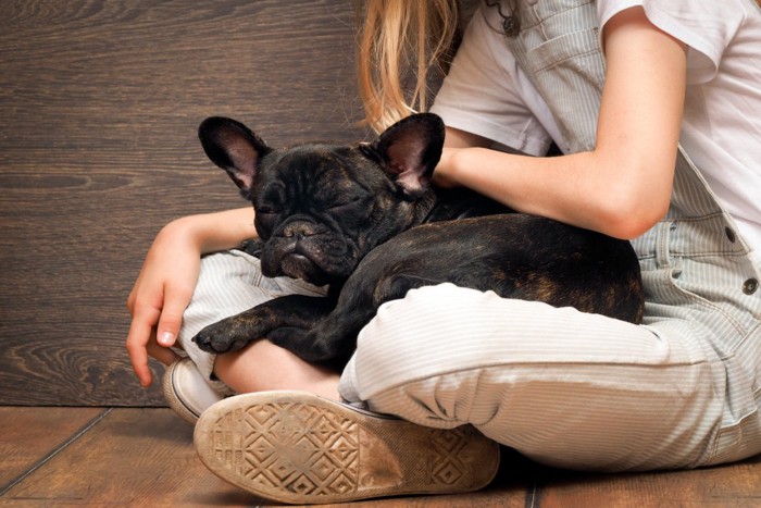 女性に撫でられている犬