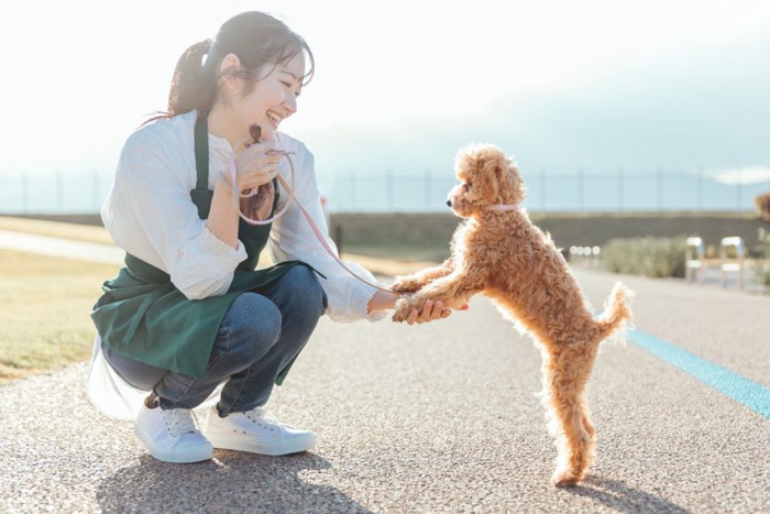 散歩中に立ち上がる犬と女性