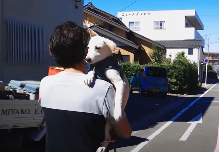 抱っこで散歩する犬