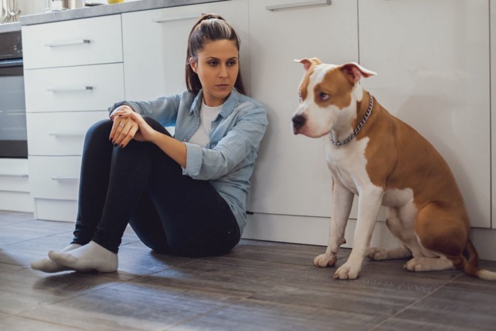 不機嫌な女性と犬